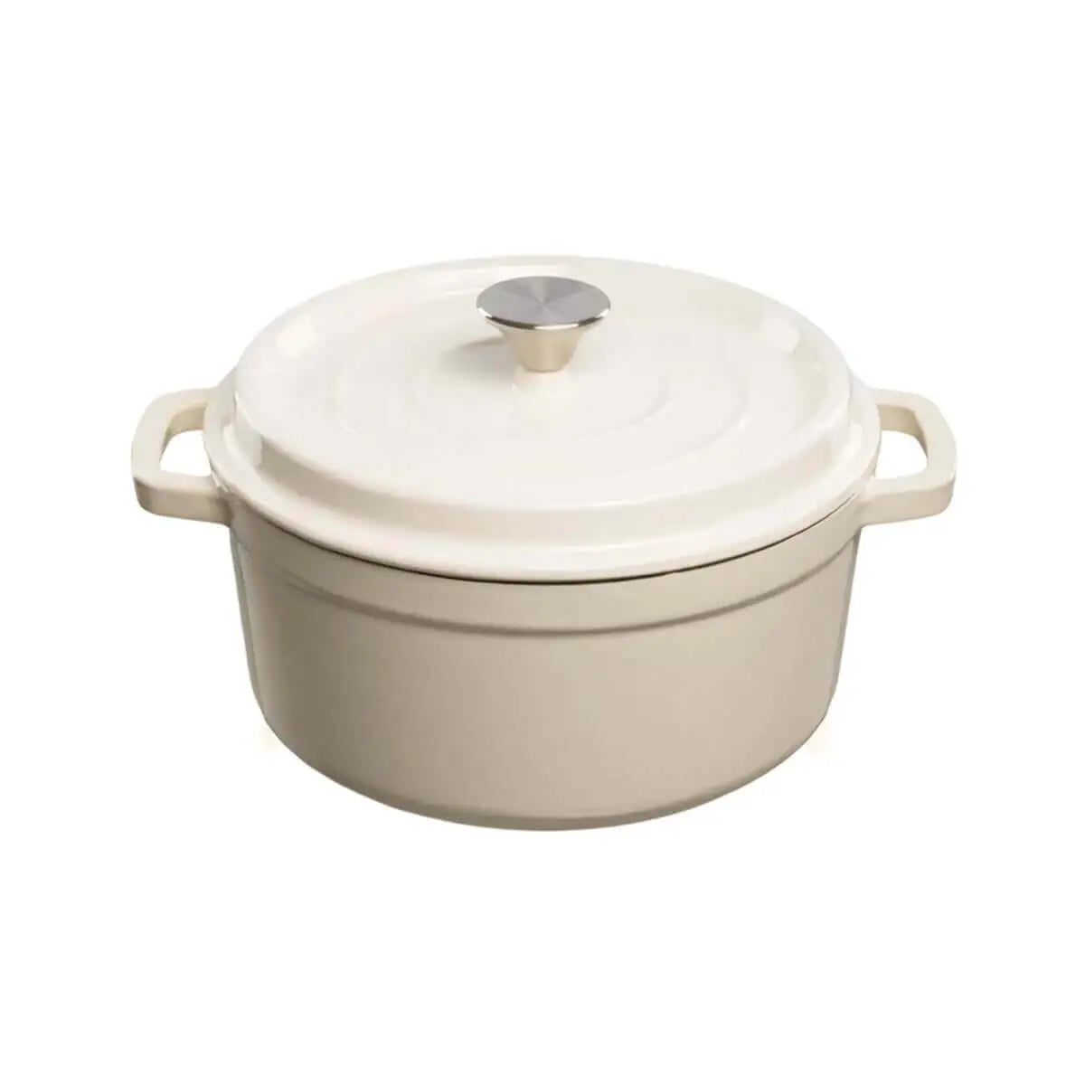 Enamel Coated Cast Iron Pot