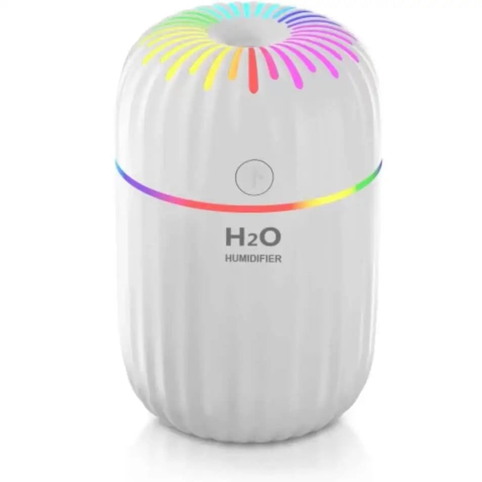 H2O Portable LED Night Light Mini Spray Mist Humidifier