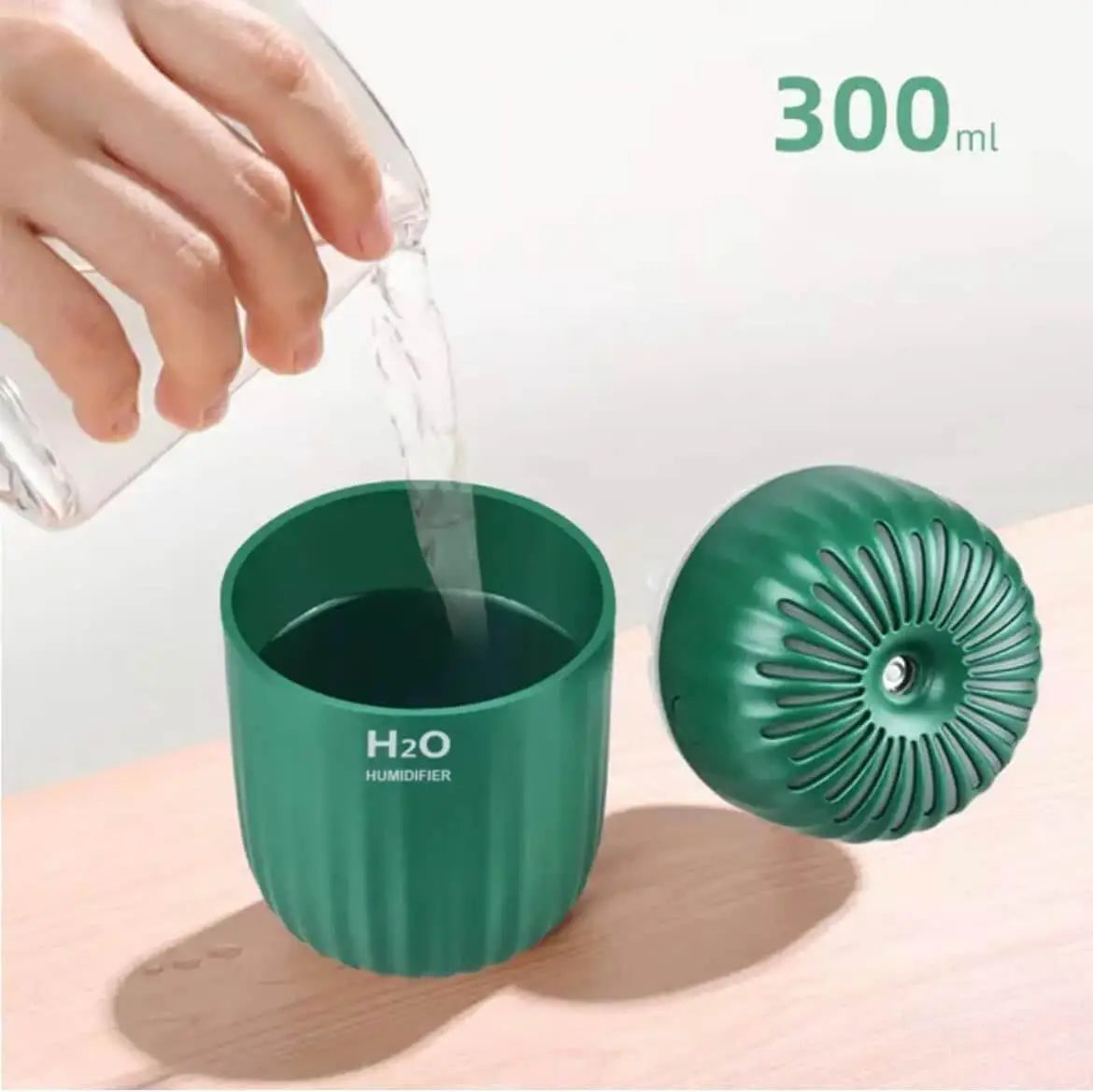 H2O Portable LED Night Light Mini Spray Mist Humidifier