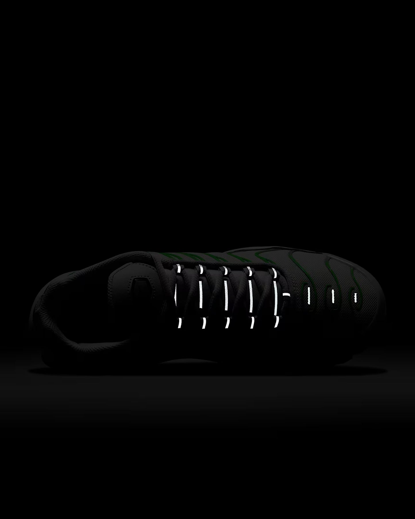 Nike Air Max Plus